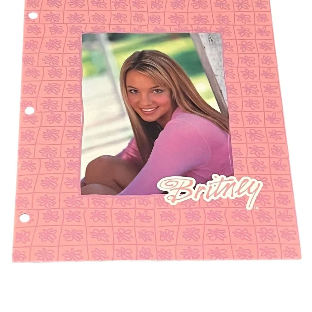 Pink Britney folder Cover